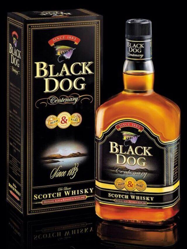 [Updated Prices] Black Dog Whisky Price in Haryana 2024